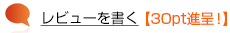 レビューを書く