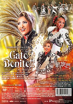 凱旋門/Gato Bonito!!(DVD)＜新品＞ | 宝塚アン