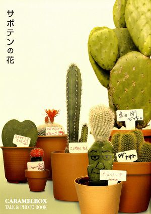 キャラメルボックス　サボテンの花　Talk ＆ Photo Book＜中古品＞