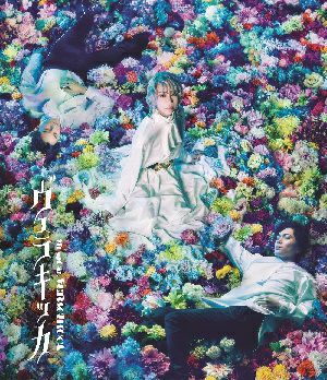 TRUMPシリーズ ミュージカル『ヴェラキッカ』 Blu-ray 通常版 （Blu-ray）＜新品＞