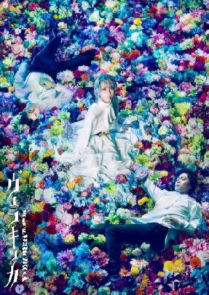  TRUMPシリーズ ミュージカル『ヴェラキッカ』 DVD 通常版 （DVD）＜新品＞