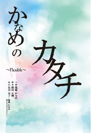 かなめのカタチ～Flexible～／凰稀かなめ （DVD)