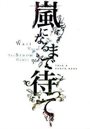 嵐になるまで待って　2008　Talk ＆ Photo Book＜中古品＞