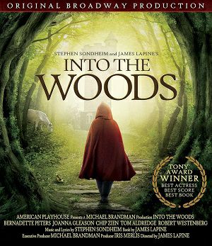 INTO the WOODS　日本語字幕なし (Blu-ray)